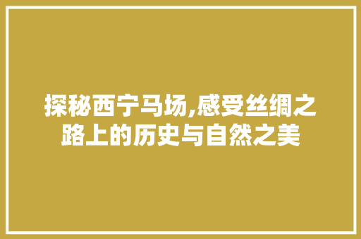 探秘西宁马场,感受丝绸之路上的历史与自然之美