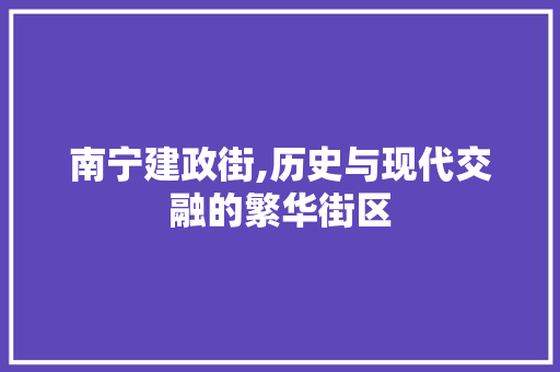 南宁建政街,历史与现代交融的繁华街区