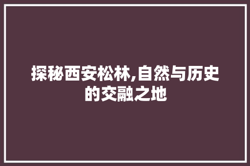 探秘西安松林,自然与历史的交融之地  第1张