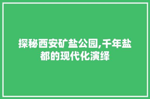 探秘西安矿盐公园,千年盐都的现代化演绎