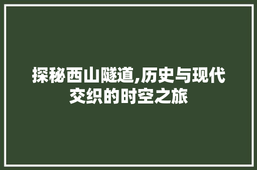 探秘西山隧道,历史与现代交织的时空之旅  第1张