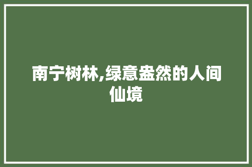 南宁树林,绿意盎然的人间仙境  第1张