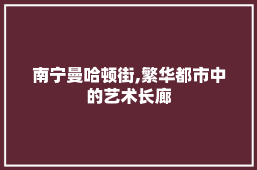 南宁曼哈顿街,繁华都市中的艺术长廊