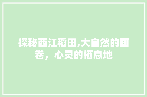 探秘西江稻田,大自然的画卷，心灵的栖息地