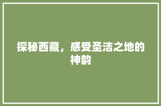 探秘西藏，感受圣洁之地的神韵