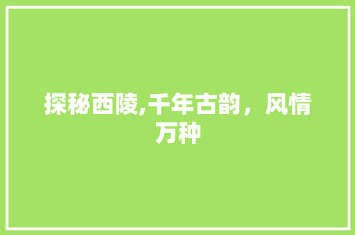 探秘西陵,千年古韵，风情万种  第1张