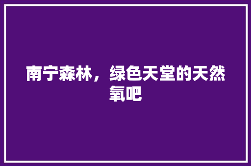 南宁森林，绿色天堂的天然氧吧  第1张