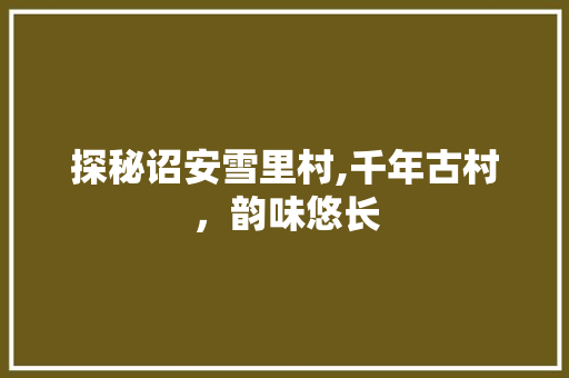 探秘诏安雪里村,千年古村，韵味悠长  第1张