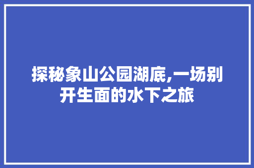 探秘象山公园湖底,一场别开生面的水下之旅  第1张