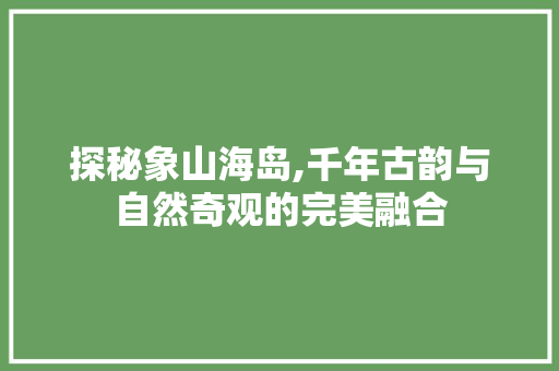 探秘象山海岛,千年古韵与自然奇观的完美融合  第1张