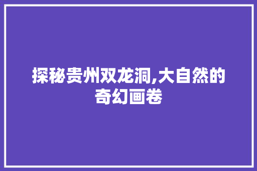 探秘贵州双龙洞,大自然的奇幻画卷  第1张