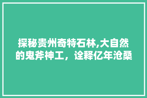 探秘贵州奇特石林,大自然的鬼斧神工，诠释亿年沧桑  第1张