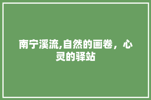 南宁溪流,自然的画卷，心灵的驿站