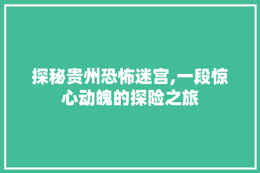 探秘贵州恐怖迷宫,一段惊心动魄的探险之旅