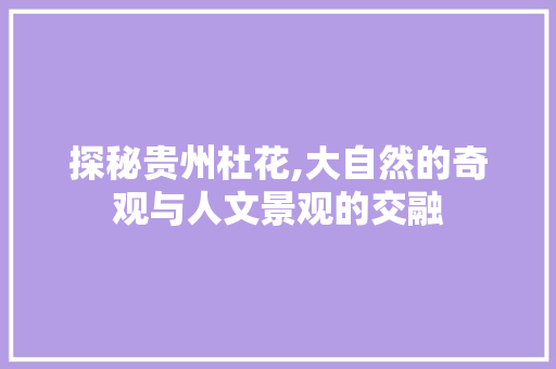 探秘贵州杜花,大自然的奇观与人文景观的交融  第1张