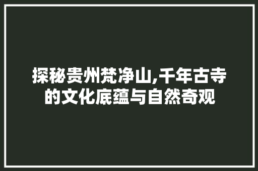 探秘贵州梵净山,千年古寺的文化底蕴与自然奇观  第1张