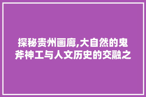 探秘贵州画廊,大自然的鬼斧神工与人文历史的交融之旅  第1张