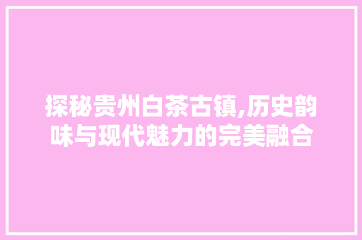 探秘贵州白茶古镇,历史韵味与现代魅力的完美融合