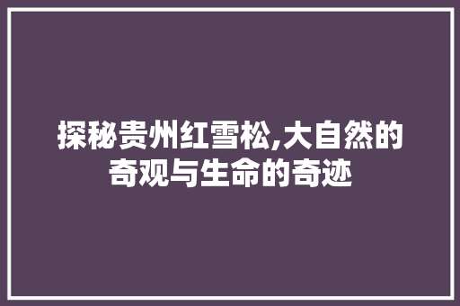 探秘贵州红雪松,大自然的奇观与生命的奇迹