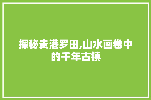 探秘贵港罗田,山水画卷中的千年古镇