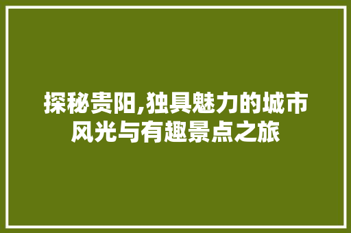 探秘贵阳,独具魅力的城市风光与有趣景点之旅