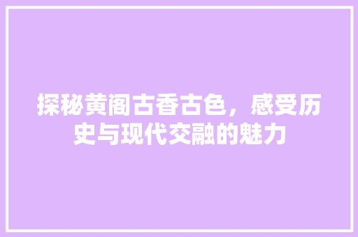 探秘黄阁古香古色，感受历史与现代交融的魅力