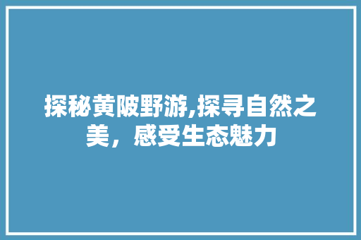 探秘黄陂野游,探寻自然之美，感受生态魅力