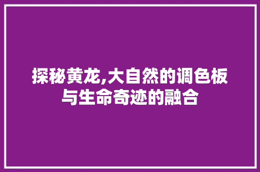 探秘黄龙,大自然的调色板与生命奇迹的融合  第1张