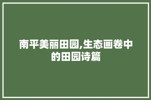 南平美丽田园,生态画卷中的田园诗篇