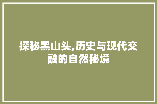 探秘黑山头,历史与现代交融的自然秘境