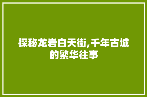 探秘龙岩白天街,千年古城的繁华往事  第1张