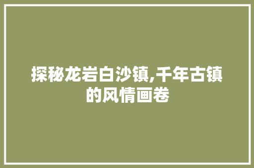 探秘龙岩白沙镇,千年古镇的风情画卷