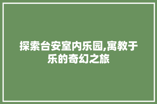 探索台安室内乐园,寓教于乐的奇幻之旅  第1张