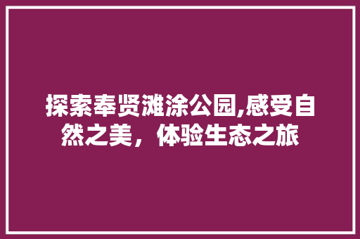 探索奉贤滩涂公园,感受自然之美，体验生态之旅