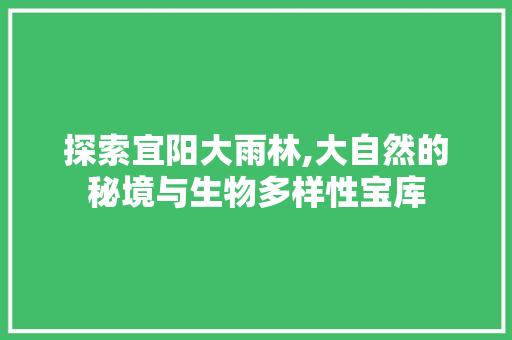 探索宜阳大雨林,大自然的秘境与生物多样性宝库