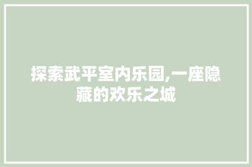 探索武平室内乐园,一座隐藏的欢乐之城  第1张