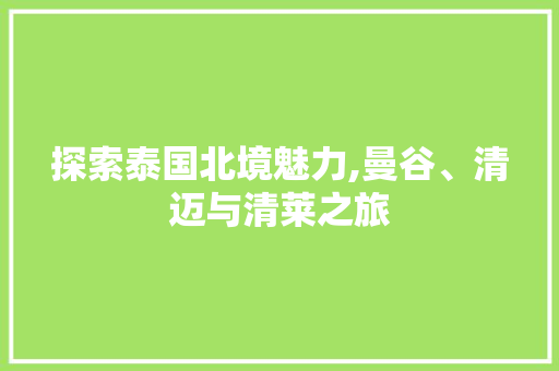 探索泰国北境魅力,曼谷、清迈与清莱之旅  第1张