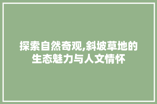 探索自然奇观,斜坡草地的生态魅力与人文情怀  第1张