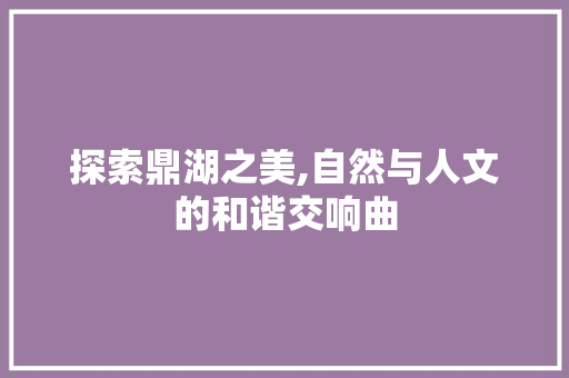 探索鼎湖之美,自然与人文的和谐交响曲