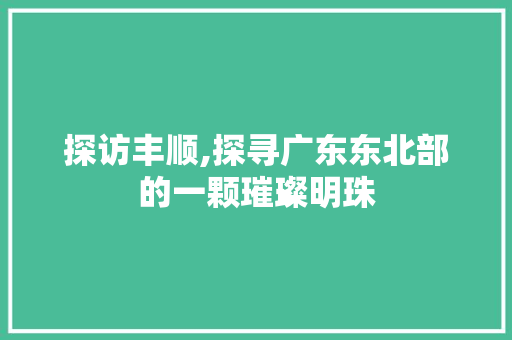 探访丰顺,探寻广东东北部的一颗璀璨明珠