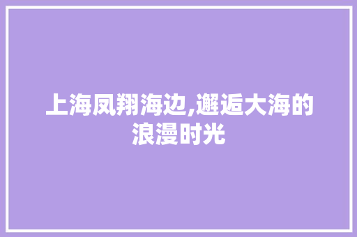 上海凤翔海边,邂逅大海的浪漫时光