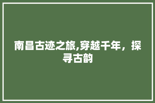 南昌古迹之旅,穿越千年，探寻古韵