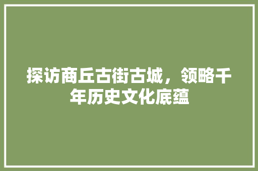 探访商丘古街古城，领略千年历史文化底蕴