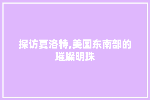 探访夏洛特,美国东南部的璀璨明珠