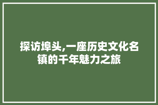 探访埠头,一座历史文化名镇的千年魅力之旅  第1张