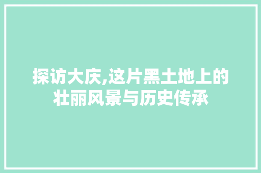 探访大庆,这片黑土地上的壮丽风景与历史传承  第1张