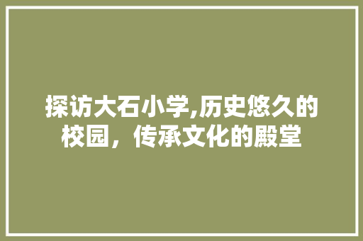 探访大石小学,历史悠久的校园，传承文化的殿堂  第1张