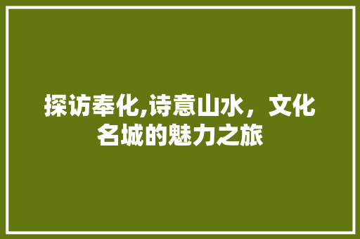 探访奉化,诗意山水，文化名城的魅力之旅  第1张