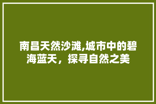 南昌天然沙滩,城市中的碧海蓝天，探寻自然之美  第1张