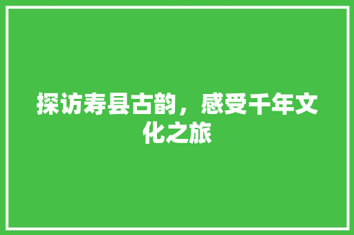 探访寿县古韵，感受千年文化之旅